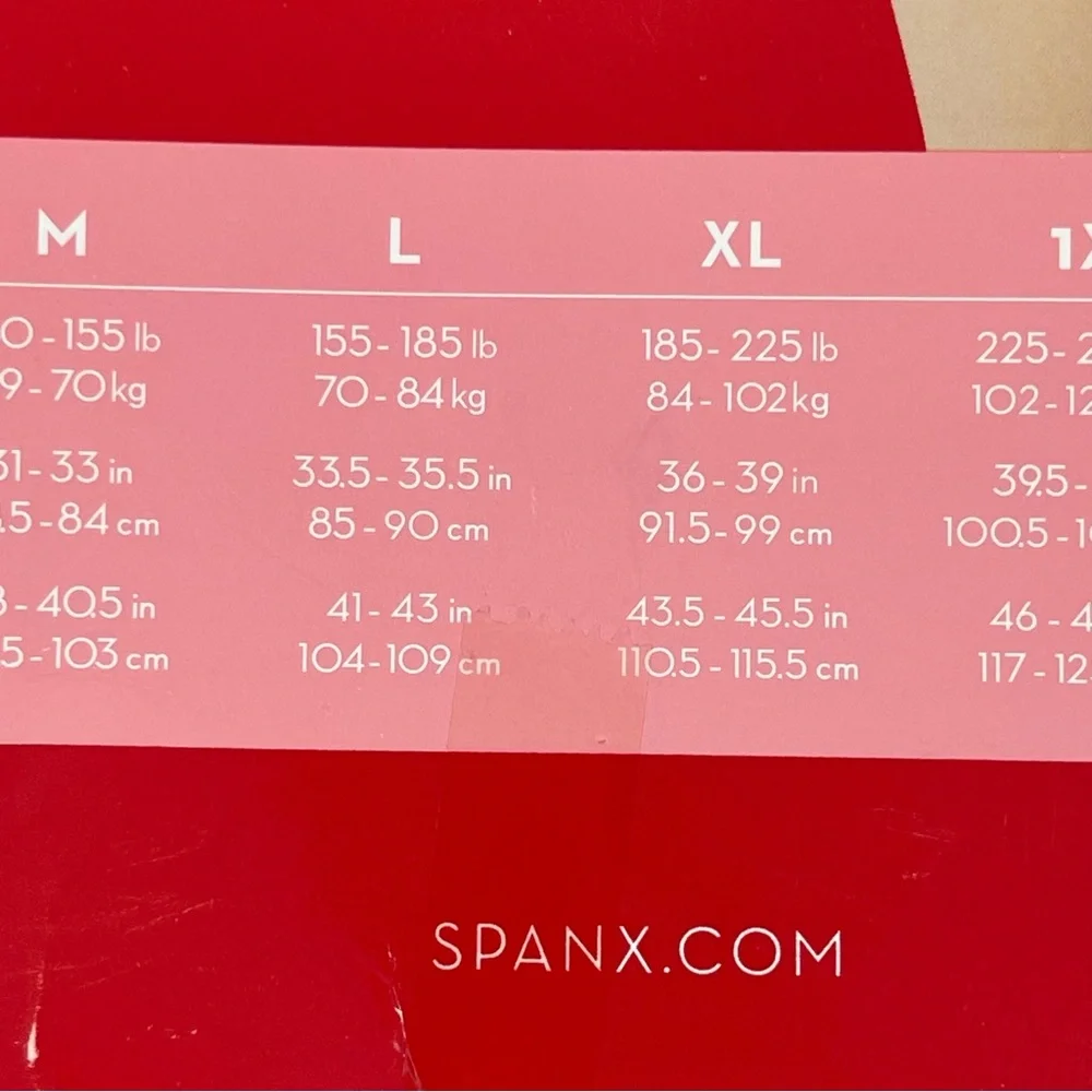 Spanx Higher Power Panties High Waisted Shaper Brief Size‎ Large NEW